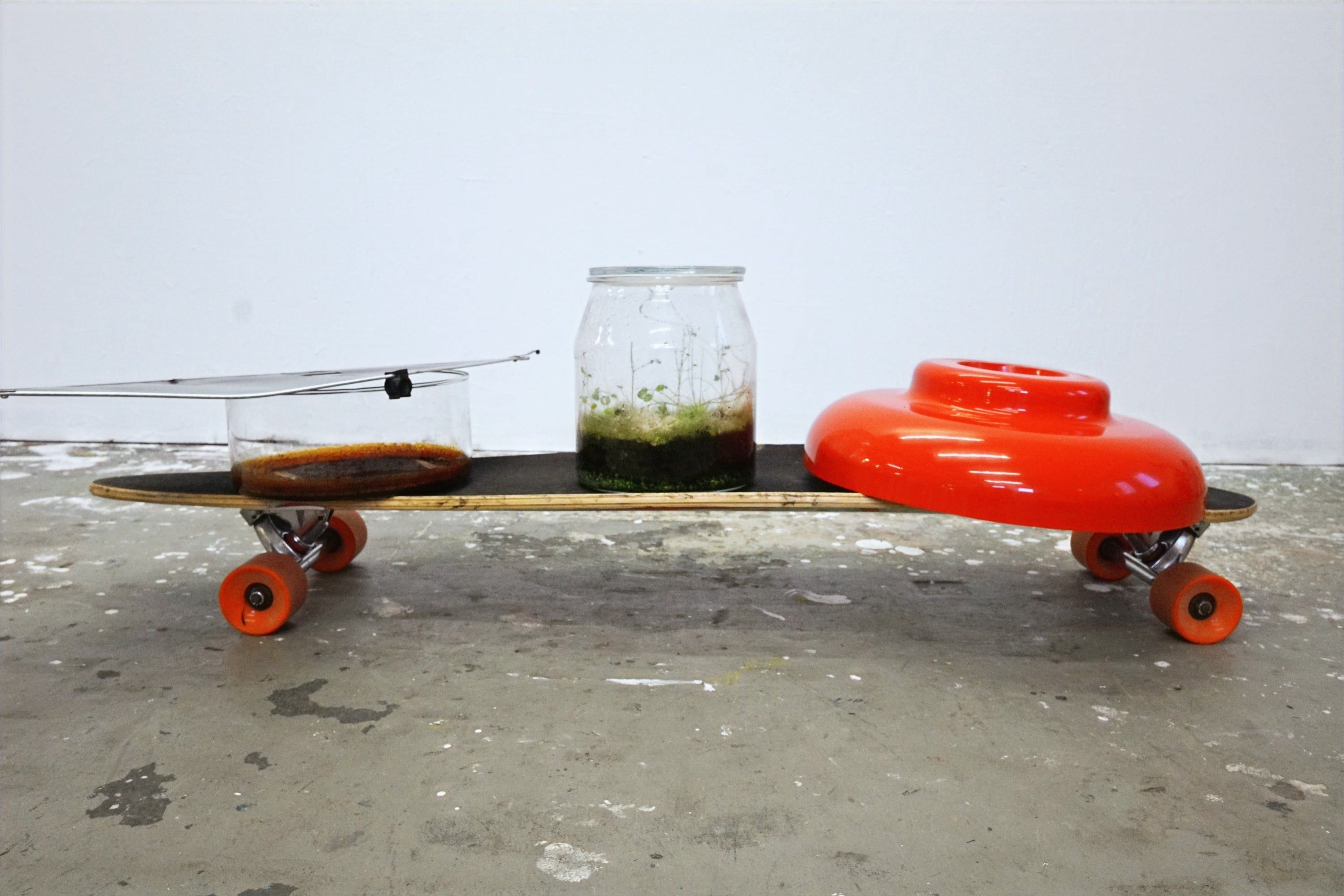 Ein Longboard steht vor einer weißen Wand; darauf nebeneinander eine flache Schale mit brauner Flüssigkeit unter einem schrägen Deckel, ein Glas mit Pflanzen und ein rotes schalenförmiges Objekt.
