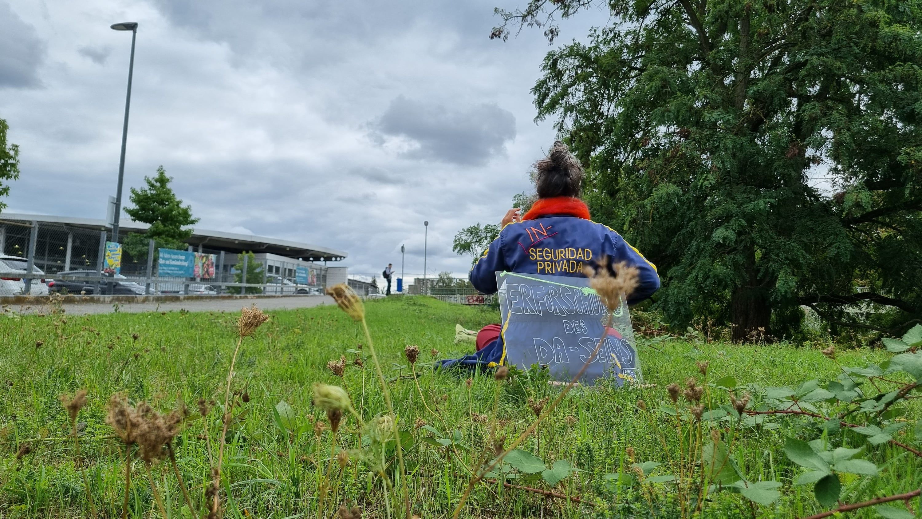 A person in a blue and yellow jacket with an orange collar sits on a strip of grass beside a road, seen from behind, a hand-lettered sign reading ERFORSCHUNG DES DA-SEINS leaning against their back; wild carrot stalks in the foreground, a dark conifer on the right.