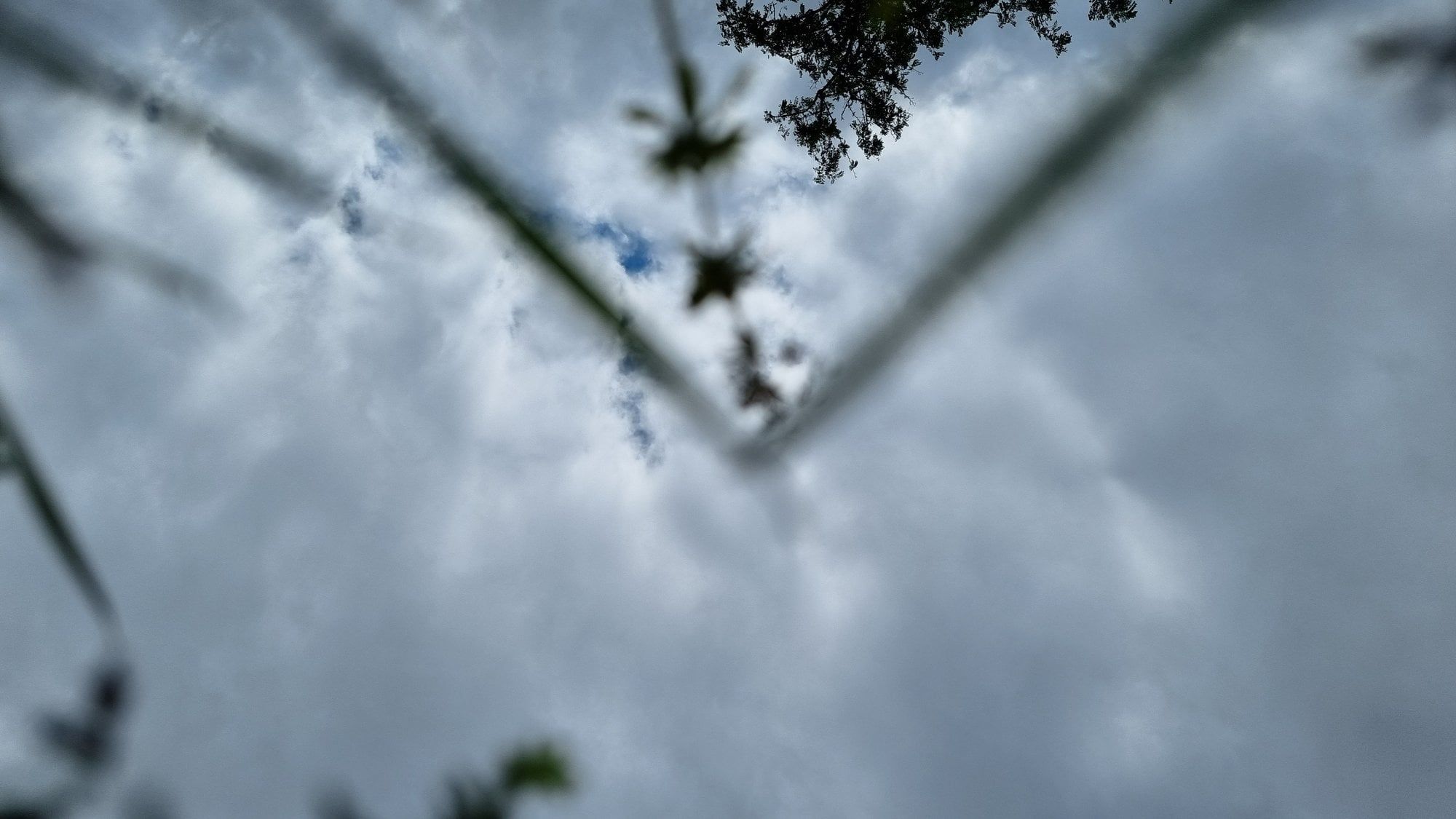 A cloudy grey sky seen from below, a bare branch at the top edge and the dark corner of a roof or frame cutting across the picture in a V.