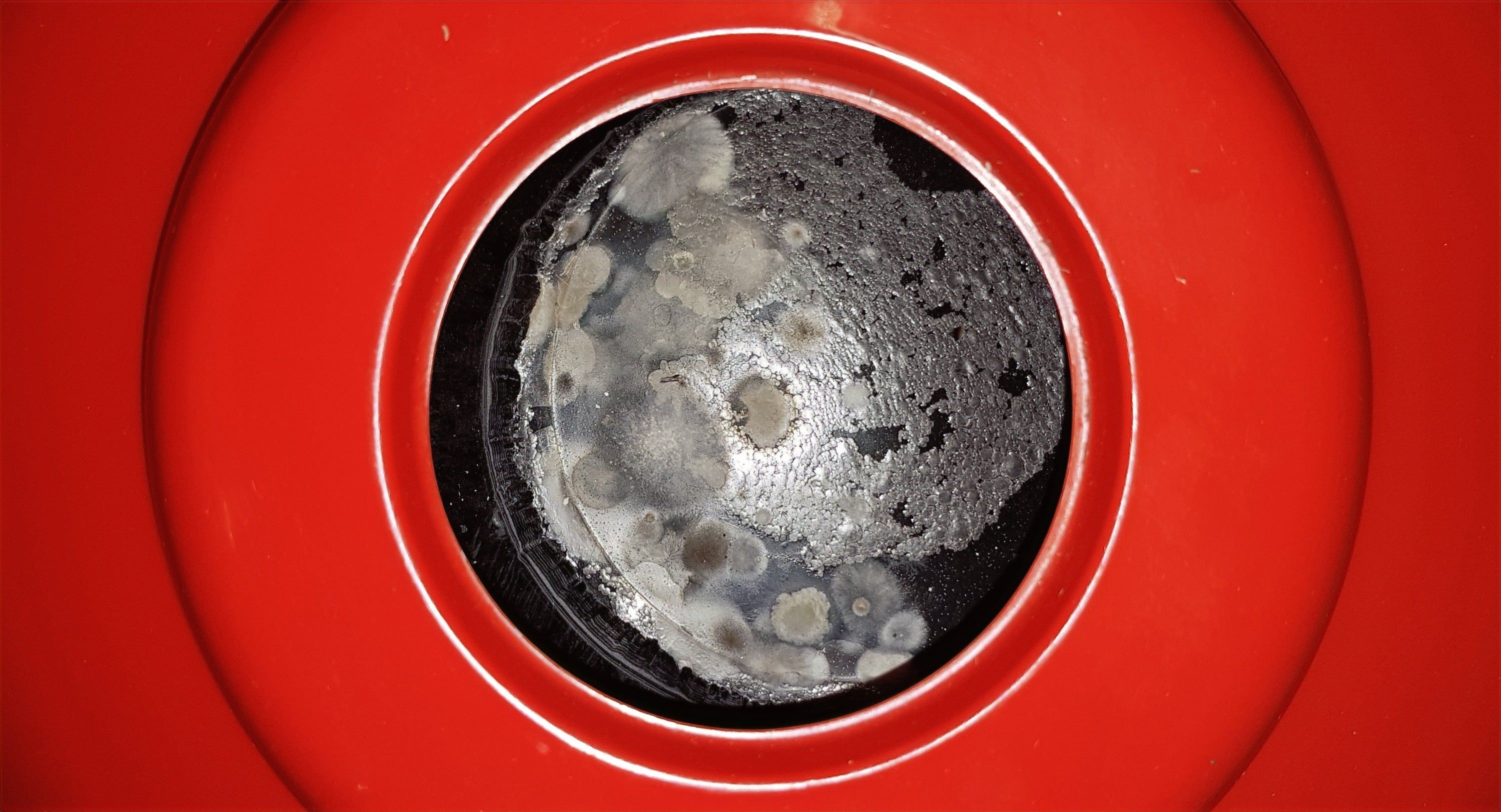 Blick von oben in das rote schalenförmige Objekt: in einer schwarzen Schale liegt eine graue, helle Schimmelschicht mit Löchern und Flecken.