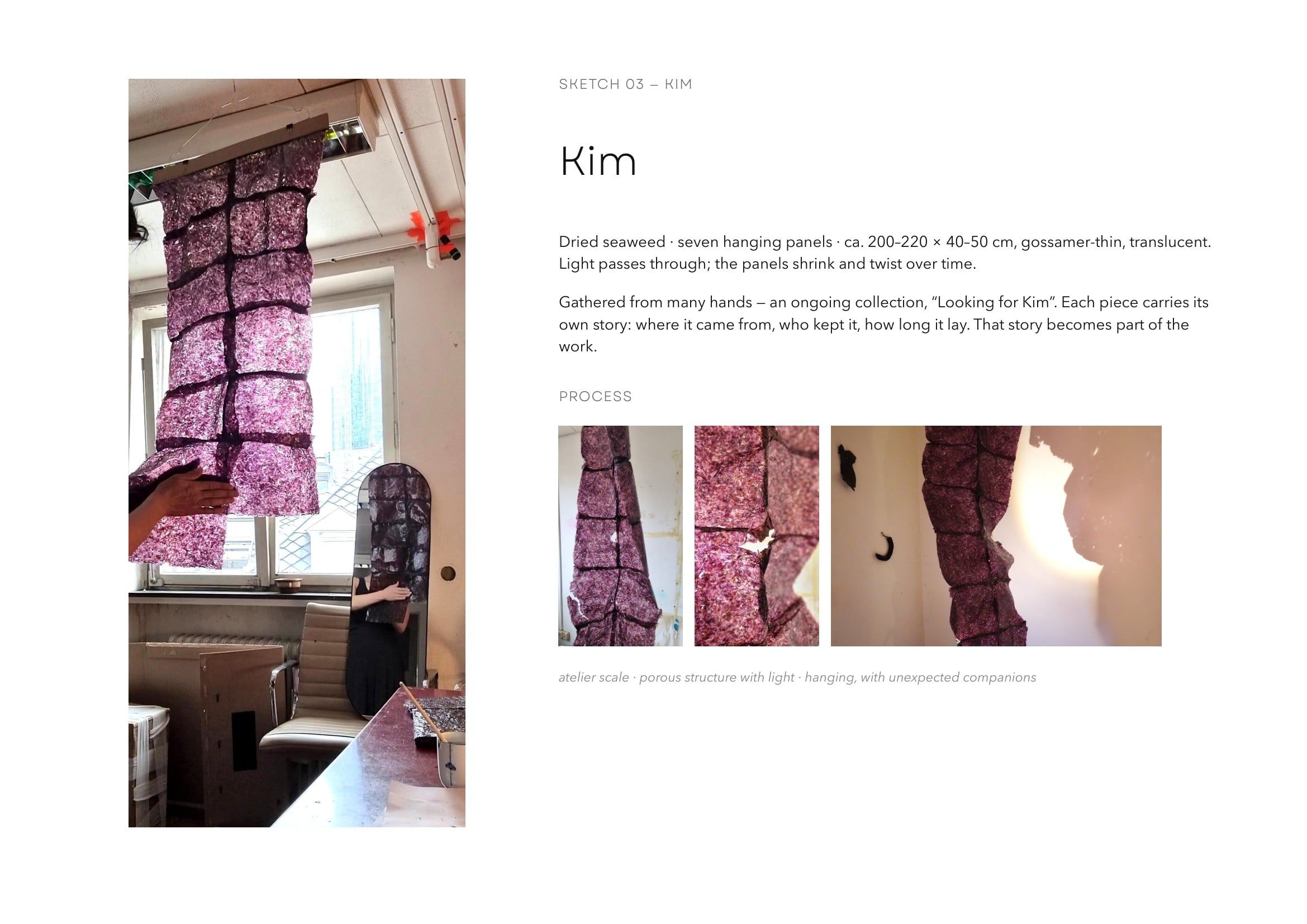 Booklet page Kim: a tall photograph of a hanging panel of dried purple seaweed in front of an atelier window, her text, and three process photographs of the panels in light.
