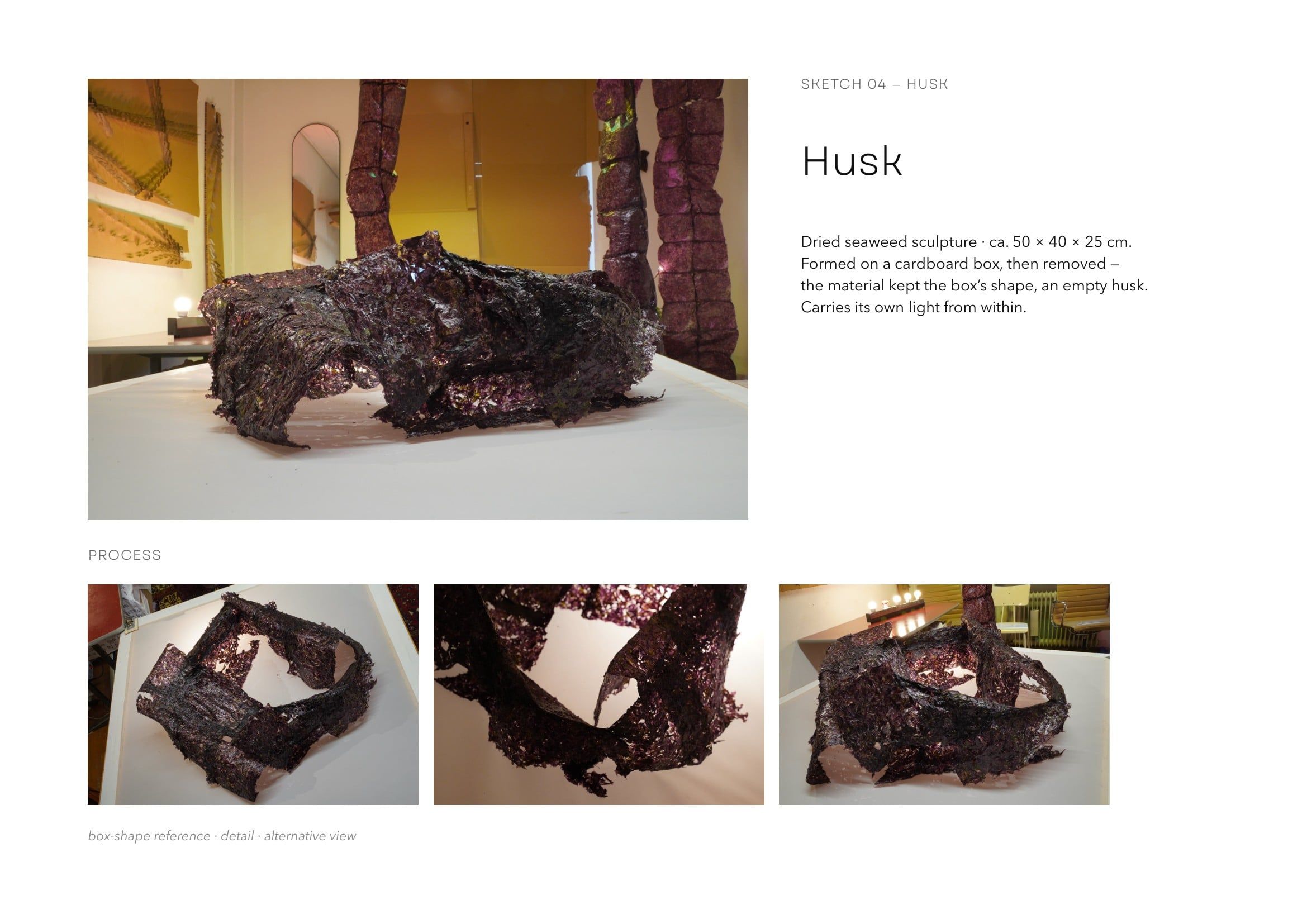 Booklet page Husk: a photograph of a dark seaweed sculpture on a white table in the atelier, beside her text, and below it three process photographs of the sculpture from other sides.